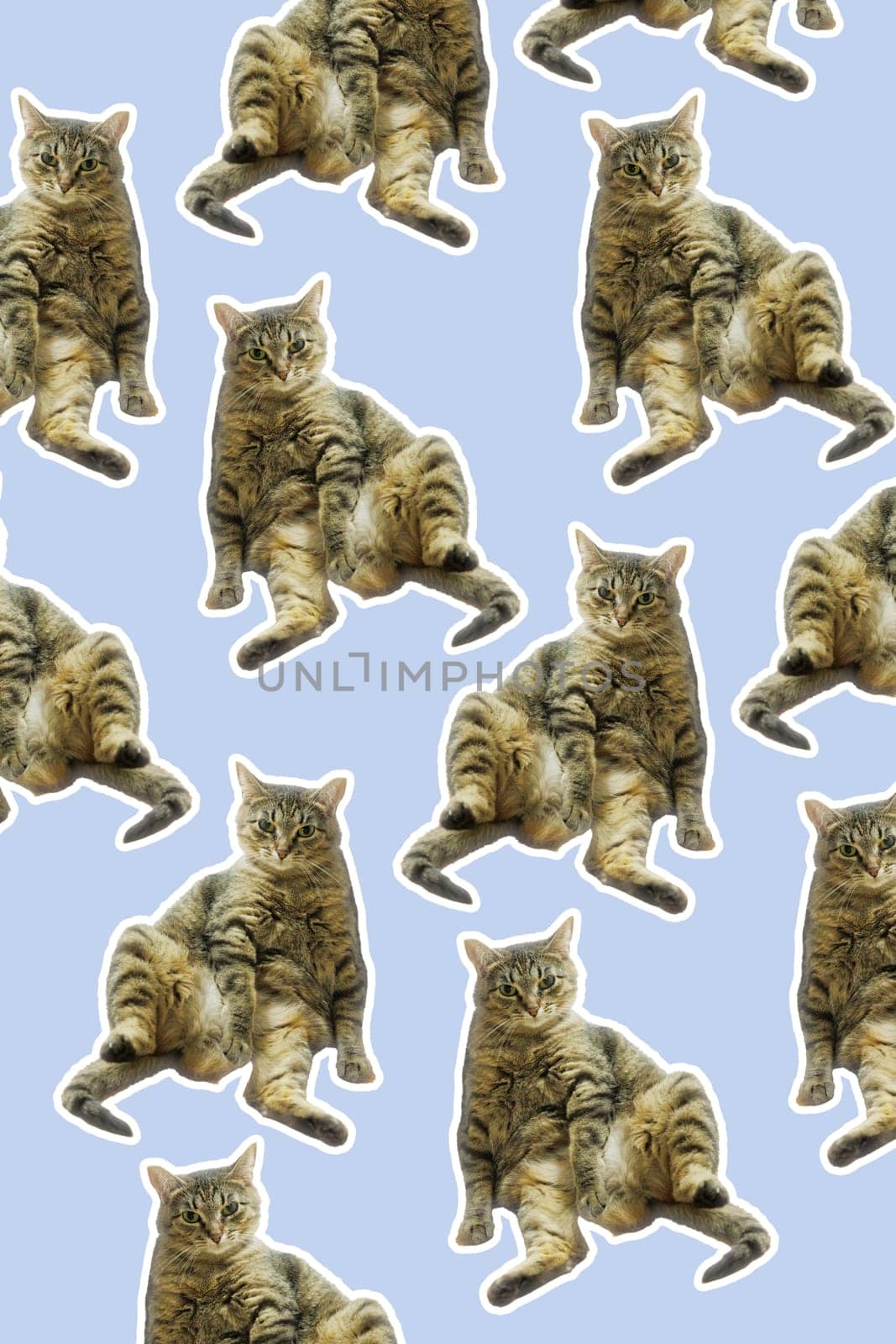 collage cat Funny cat's heads on blue background. Seamless repeating pattern. Digital collage.