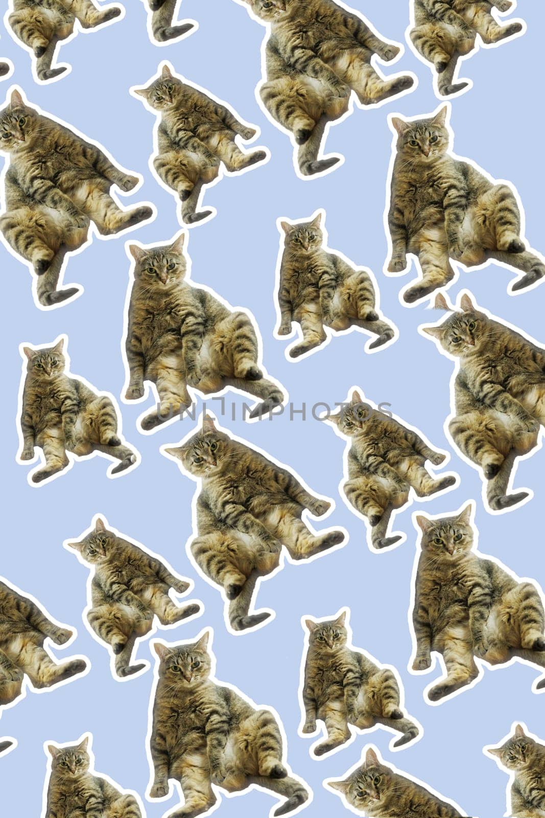 collage cat Funny cat's heads on blue background. Seamless repeating pattern. Digital collage.
