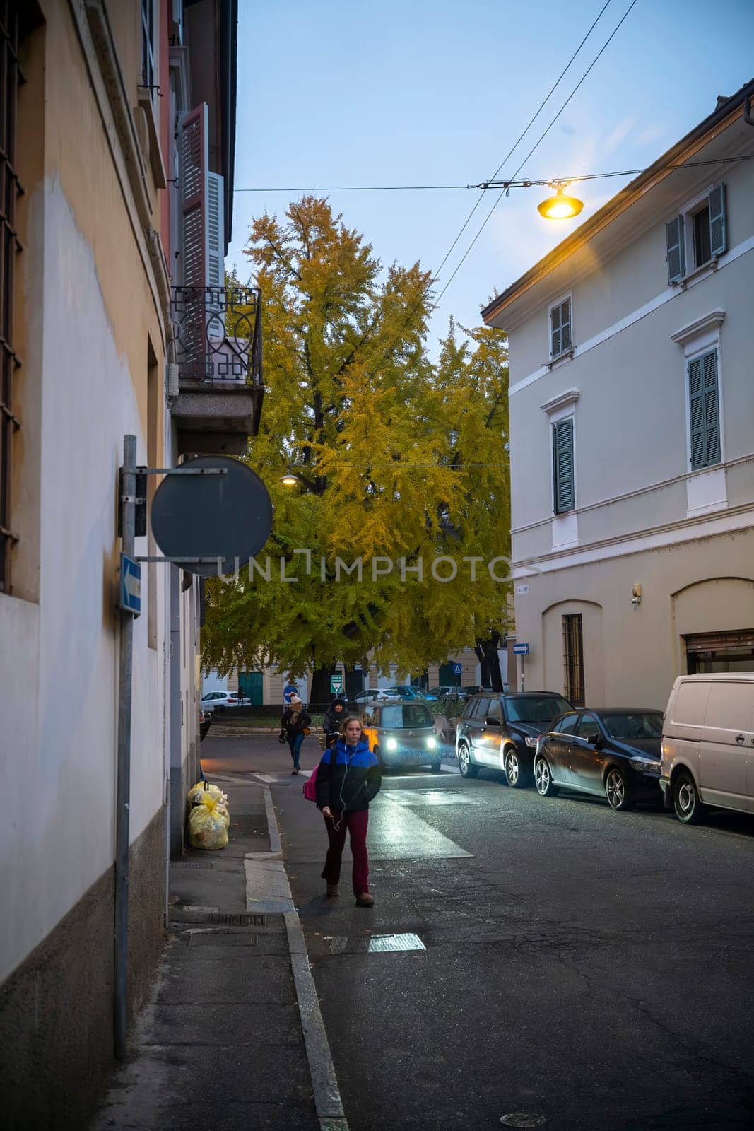 Lombardy, Italy - November 20th 2024 Woman walking on a sidewalk next to a ginkgo biloba tree with yellow leaves in autumn