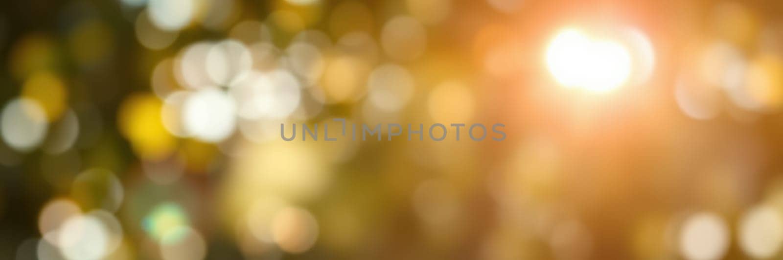 Dappled sunlight shines through blurred leaves, enhancing the tranquil feel of the outdoor setting in the late afternoon. The warm tones evoke a sense of peace and calm.