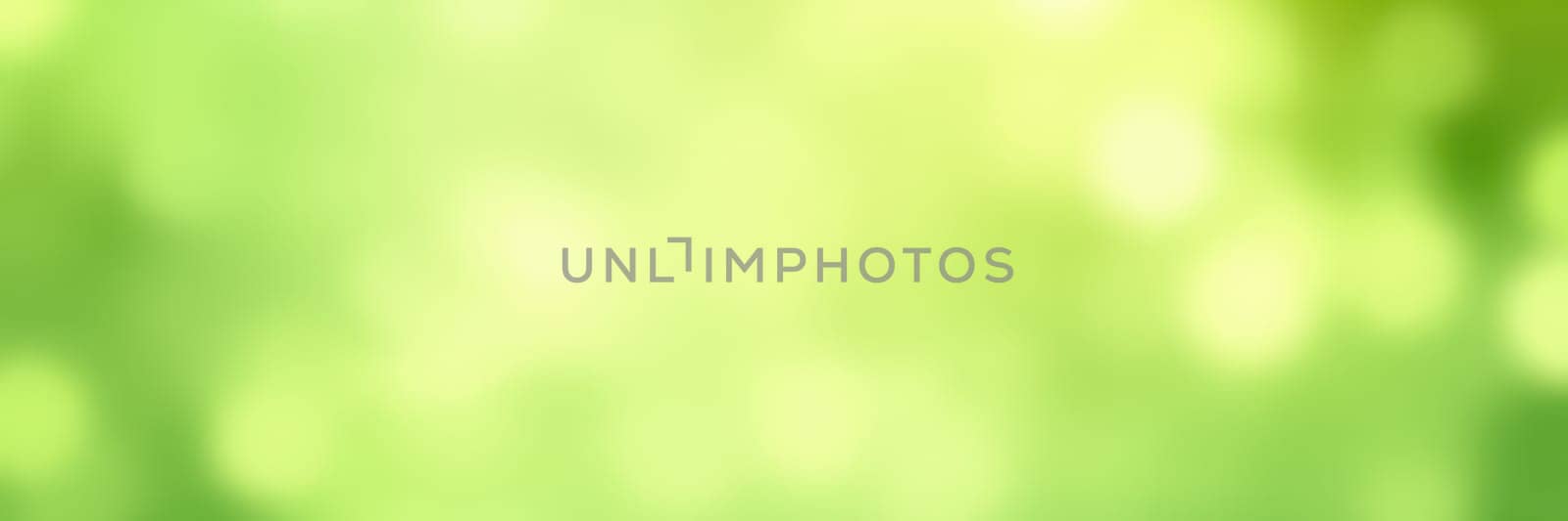 Bright green background features a soft blur with a bokeh effect, created by sunlight filtering through lush foliage during a sunny day, evoking a serene and vibrant atmosphere.