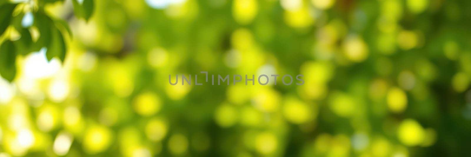 Sunlight filters through lush green leaves, creating a serene atmosphere that invites relaxation and contemplation in a natural setting during the day.