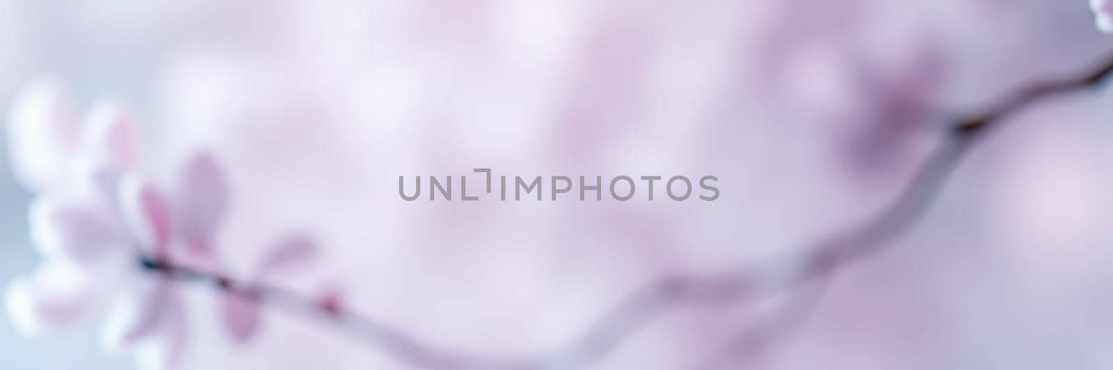 Delicate pink and white blossoms adorn branches, softly illuminated by warm sunlight in a tranquil garden during the spring season, capturing the essence of renewal and beauty.