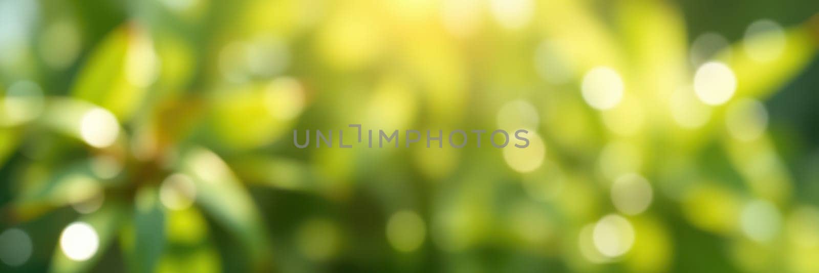 Sunlight filters through greenery, creating a soft bokeh effect that highlights the vibrant colors of the leaves in a serene outdoor setting during afternoon.