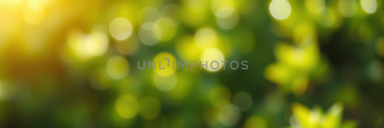 Bright sunlight shines through the dense leaves of trees, illuminating a tranquil outdoor space filled with fresh greenery. The atmosphere exudes calmness and natural beauty.