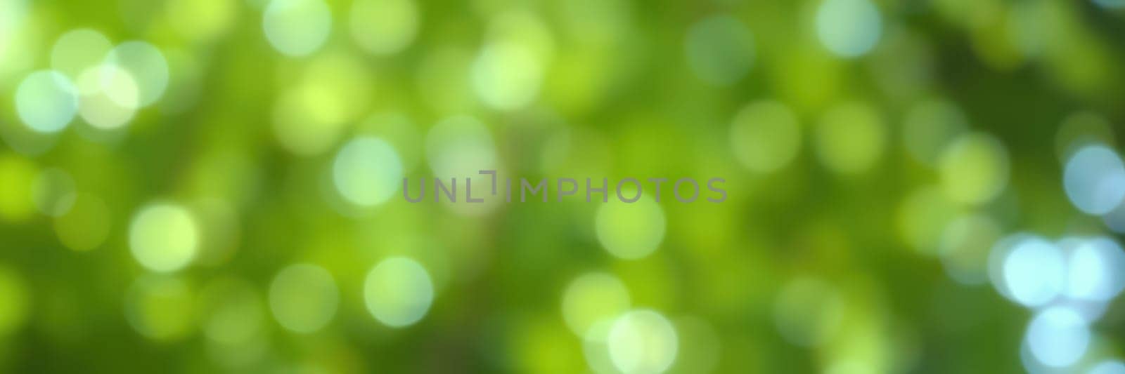 Bright sunlight filters through vibrant green leaves, creating a soft bokeh effect. This tranquil scene captures the beauty of nature in a peaceful outdoor environment.