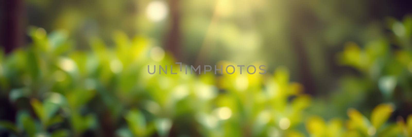 Soft sunlight casts a warm glow on vibrant green leaves while creating a peaceful atmosphere in the forest during late afternoon. Nature thrives in this serene environment.