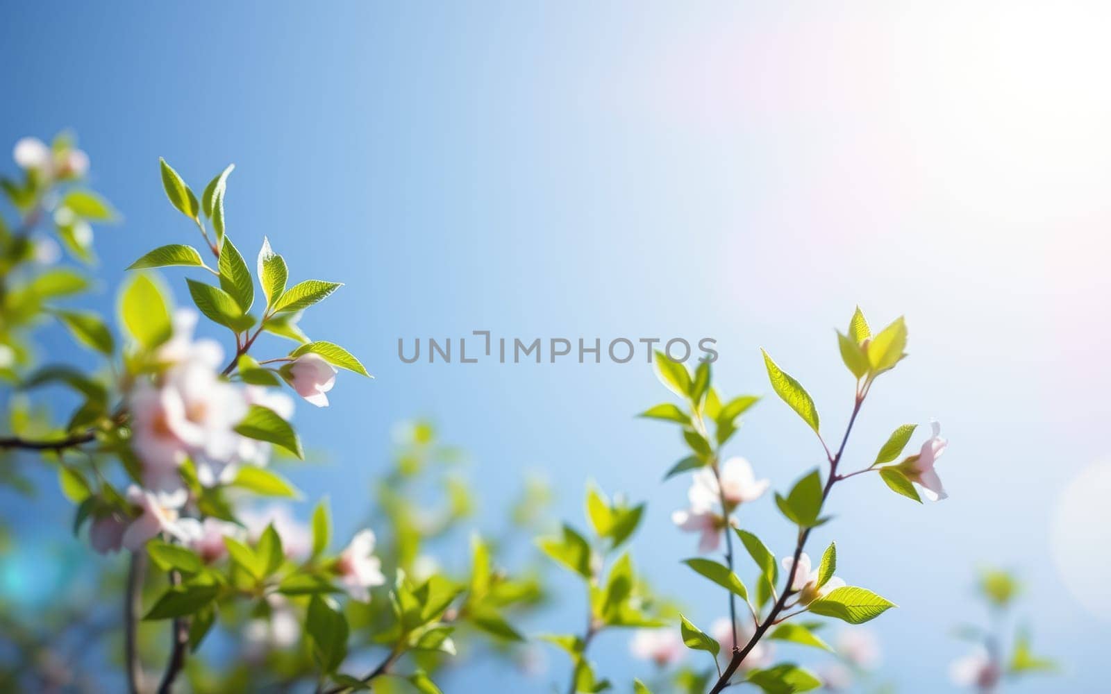 Bright sunlight illuminates delicate pink flowers and vibrant green leaves, creating a serene atmosphere on a warm spring day with a clear blue sky.