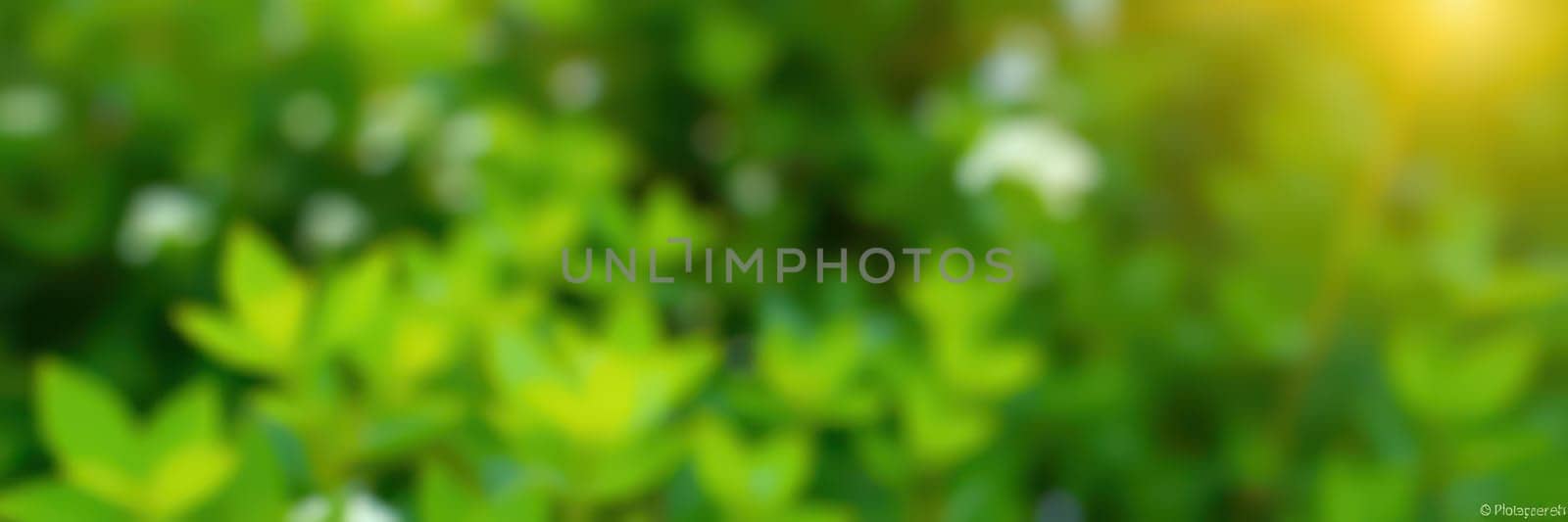Sunlight filters through vibrant green leaves in a tranquil setting, casting soft shadows and highlighting the beauty of nature. Nearby, a gentle stream adds to the peaceful ambiance.