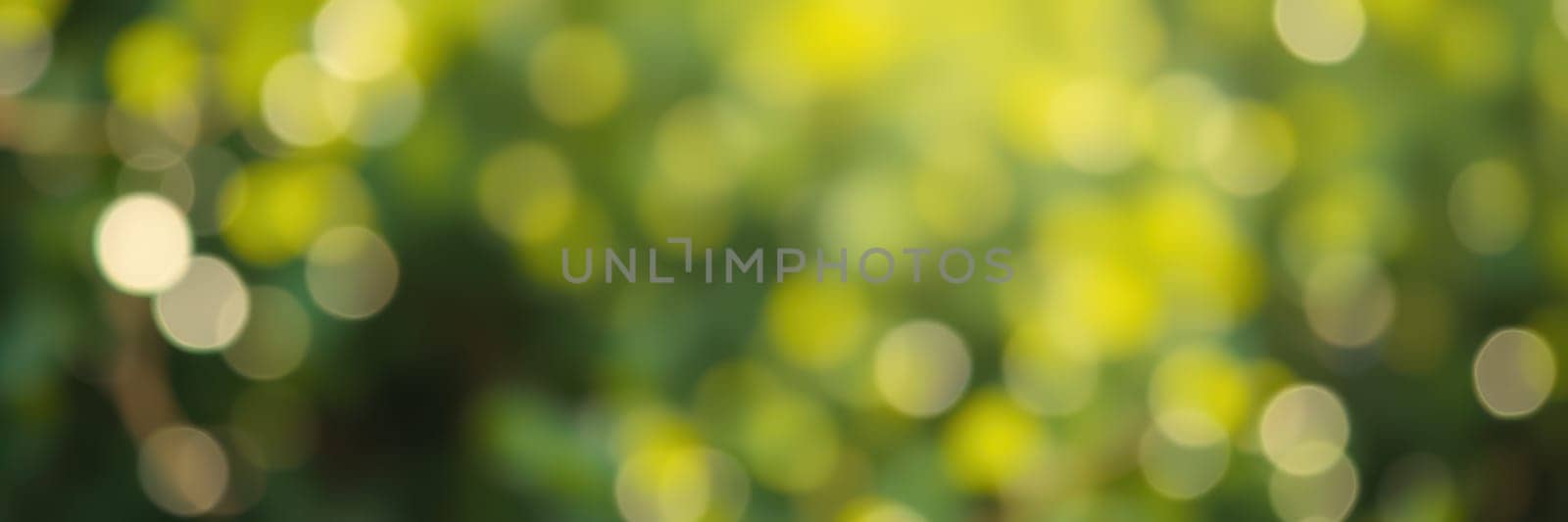 Soft beams of sunlight shine through vibrant green leaves, creating a peaceful ambiance in a serene garden during the daytime. The scene evokes a sense of calm and relaxation.