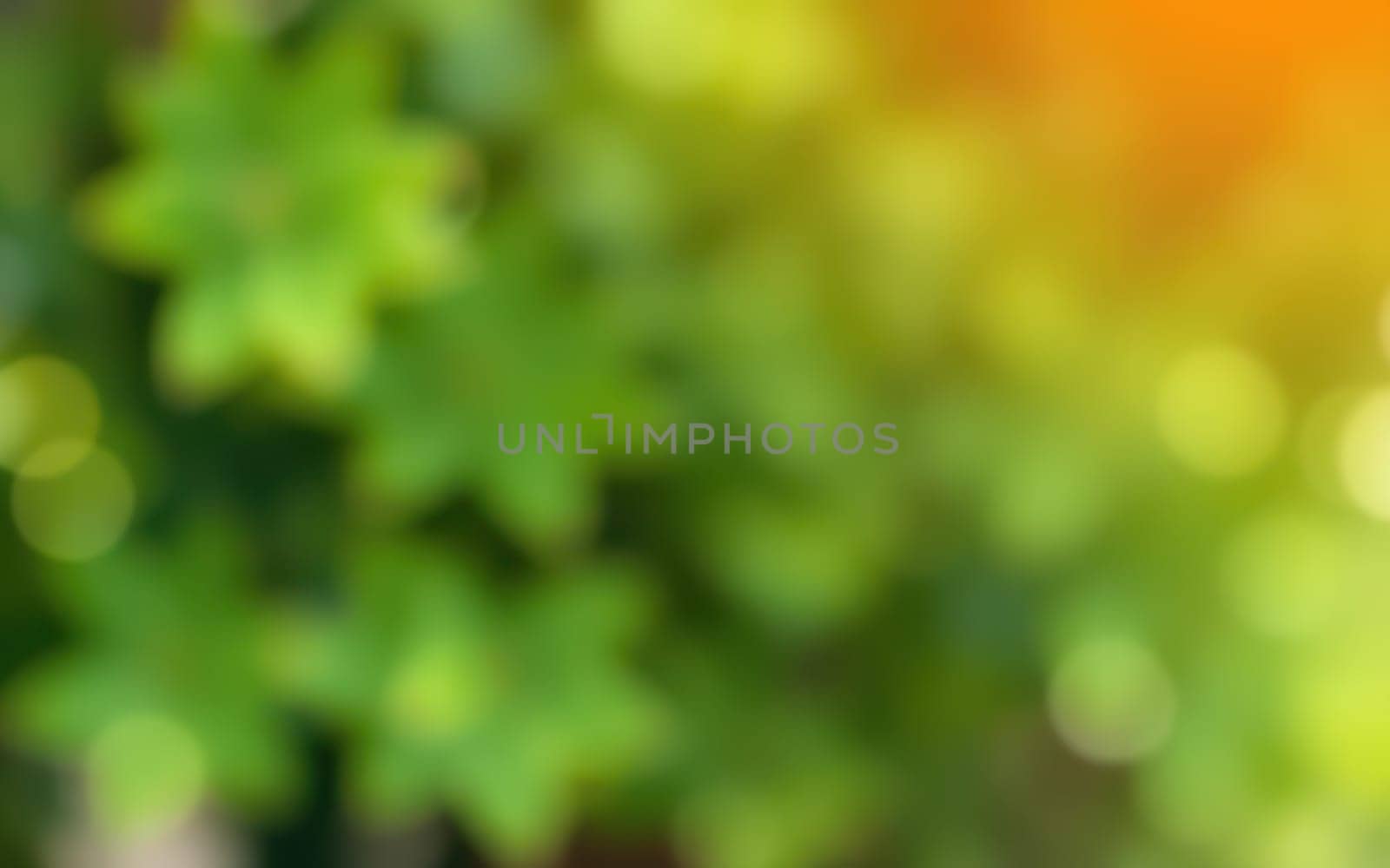Sunlight filters through vibrant green leaves, providing a peaceful and rejuvenating ambiance. The scene showcases nature's beauty in a tranquil outdoor environment.