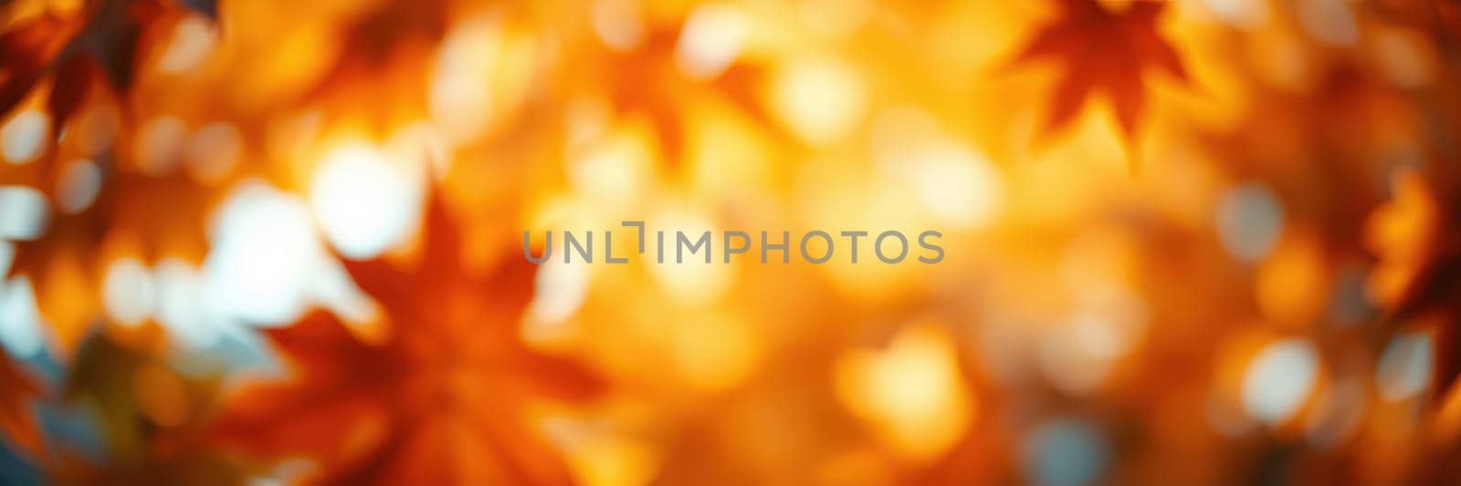 Golden and red maple leaves capture sunlight, creating a dreamy atmosphere in a tranquil forest. The vibrant colors signal the beauty of autumn.