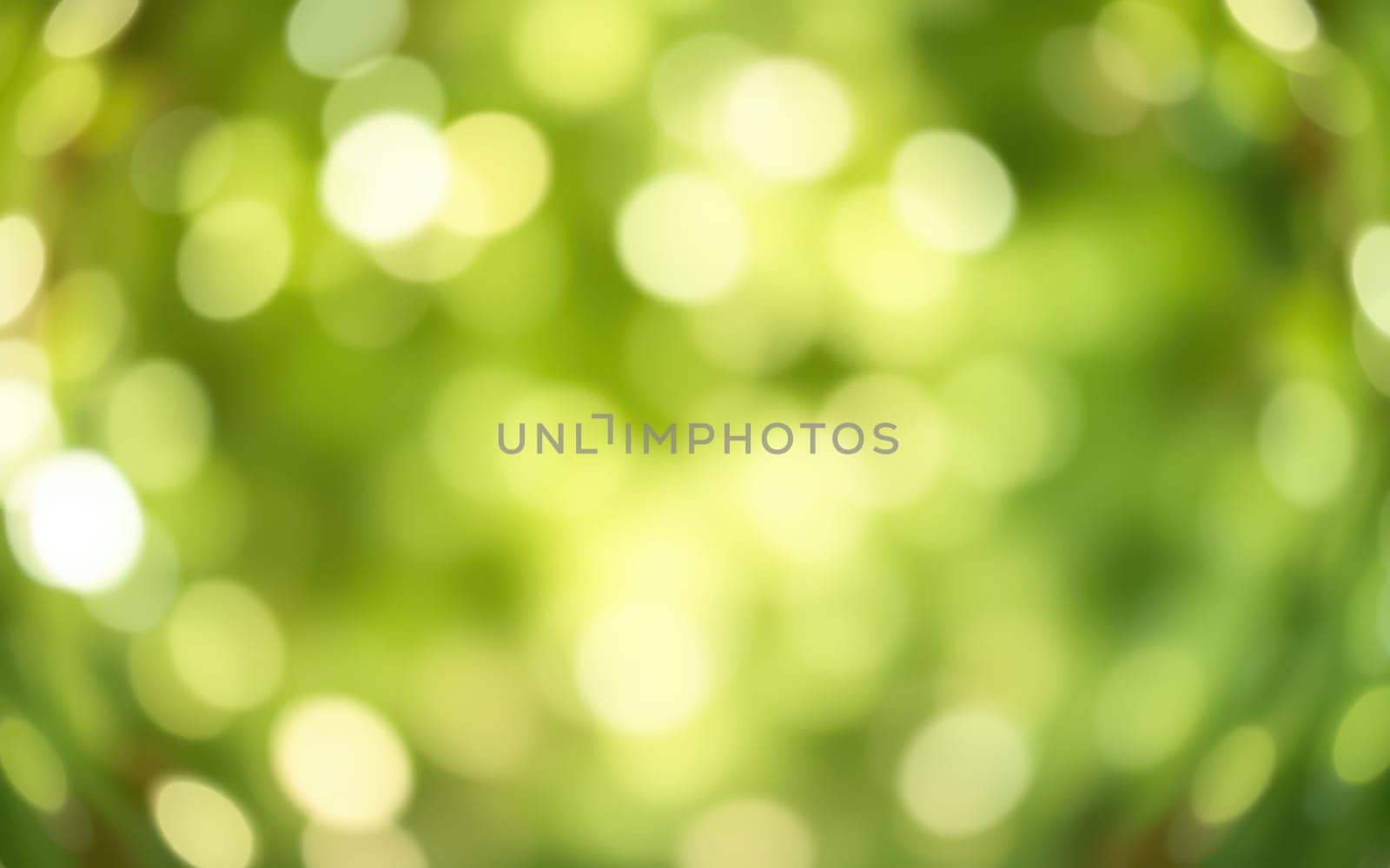 Sunlight streams through lush green foliage, creating a pleasing bokeh effect. This serene outdoor scene captures nature's vibrant colors and calm atmosphere, inviting relaxation.