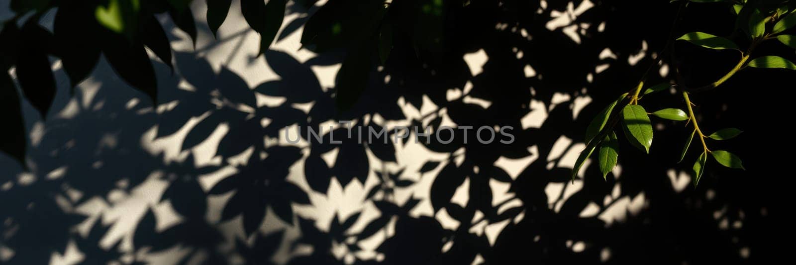 Shadows of vibrant green leaves create intricate patterns on a light-colored surface, showcasing the beauty of sunlight filtering through foliage on a calm afternoon.