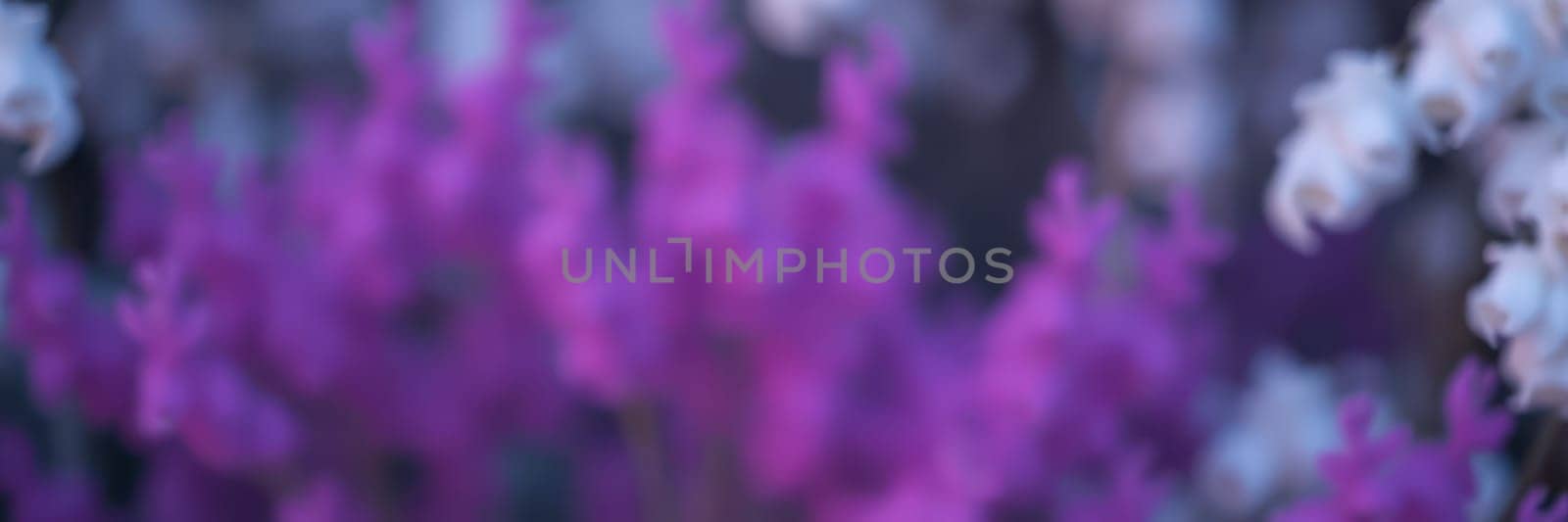 A serene garden filled with blooming flowers creates a colorful landscape. Purple and white blossoms sway gently in the spring breeze, reflecting soft sunlight.