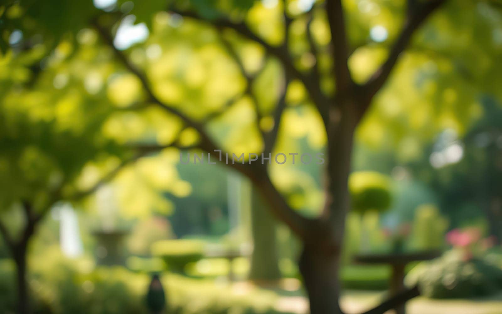A tranquil park scene captures vibrant green trees with sunlight filtering through the leaves, creating a serene atmosphere. The well-kept landscape invites relaxation.