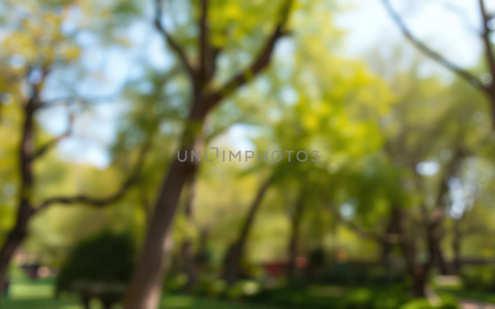 Bright sunlight filters through the leaves of tall trees in a vibrant park setting. People enjoy leisurely walks, surrounded by the refreshing greenery of spring.