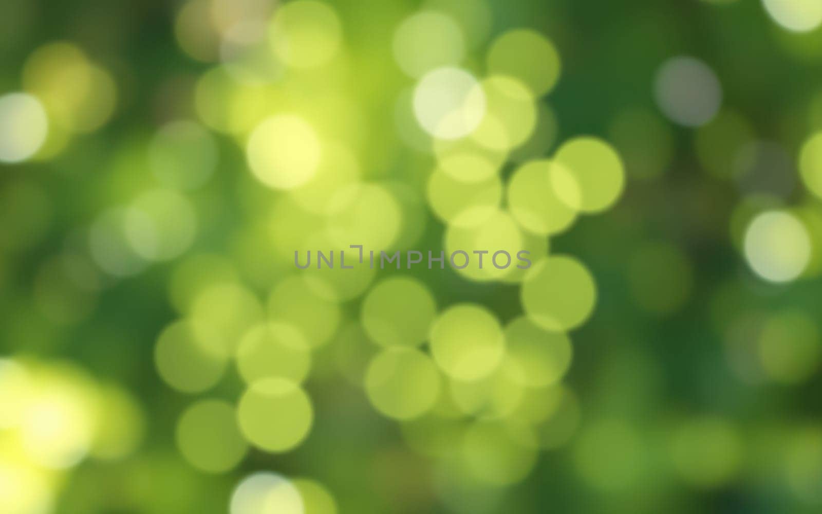 Delicate, soft green bokeh lights shimmer through a lush background, evoking a peaceful and calming ambiance typical of a sunny day in woods or gardens.