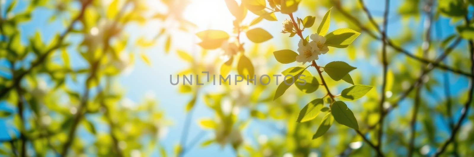 Bright sunlight shines through vibrant green leaves, creating a serene atmosphere filled with the essence of spring. Delicate flowers peek through the foliage, enhancing the beauty.