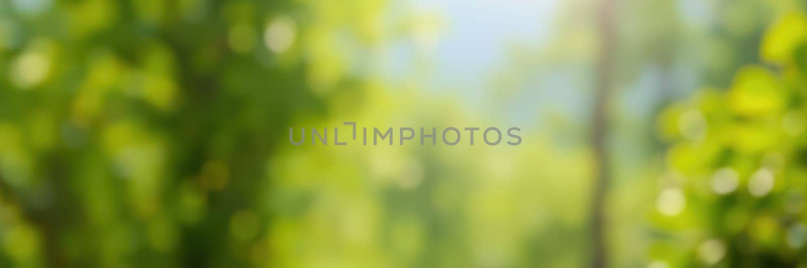 A tranquil forest scene features bright sunlight illuminating the vibrant green leaves overhead, casting soft shadows on the ground. The peaceful environment invites relaxation.