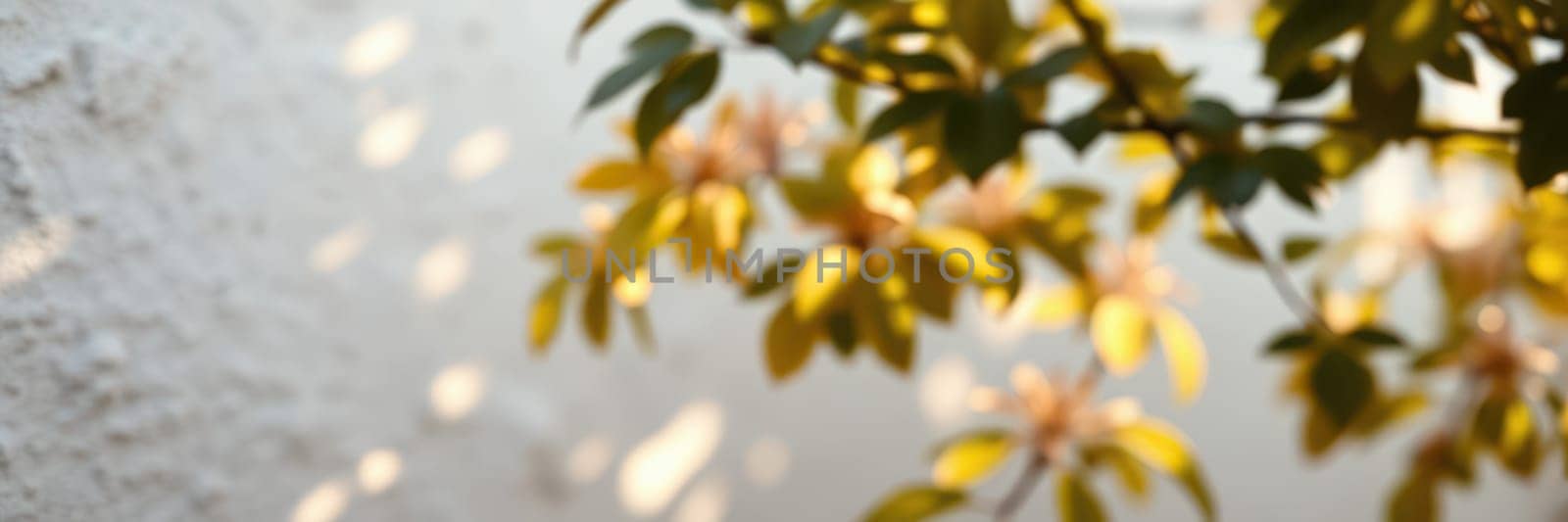 Sunlight filters through golden leaves, casting soft shadows on a textured white wall. The scene captures a moment of peace and nature's beauty in a serene outdoor space.