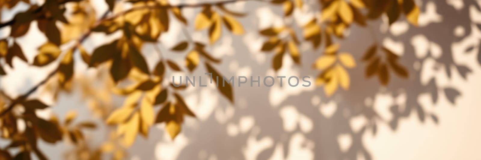 Golden leaves gently sway in the breeze, creating delicate shadows on a warm sunlit wall, capturing the essence of a serene autumn day outdoors.