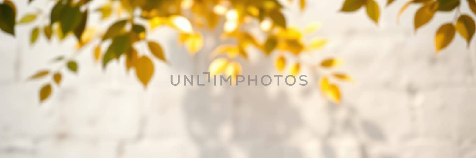 Sunlight filters through vibrant golden leaves, creating a warm glow in a tranquil outdoor area. A blurred white wall serves as a soft background, enhancing the calming atmosphere.