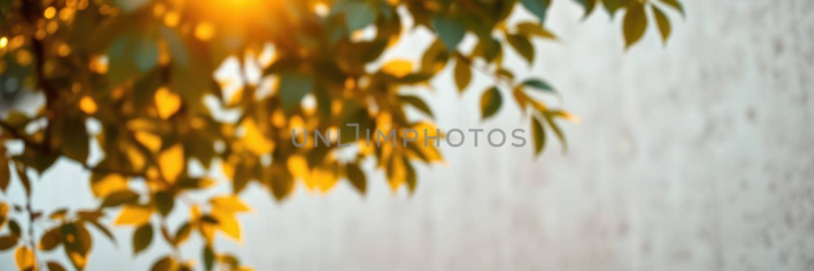 Golden sunlight spills through vibrant autumn leaves, casting a warm glow in a tranquil outdoor space. The soft light enhances the natural beauty and peaceful atmosphere.