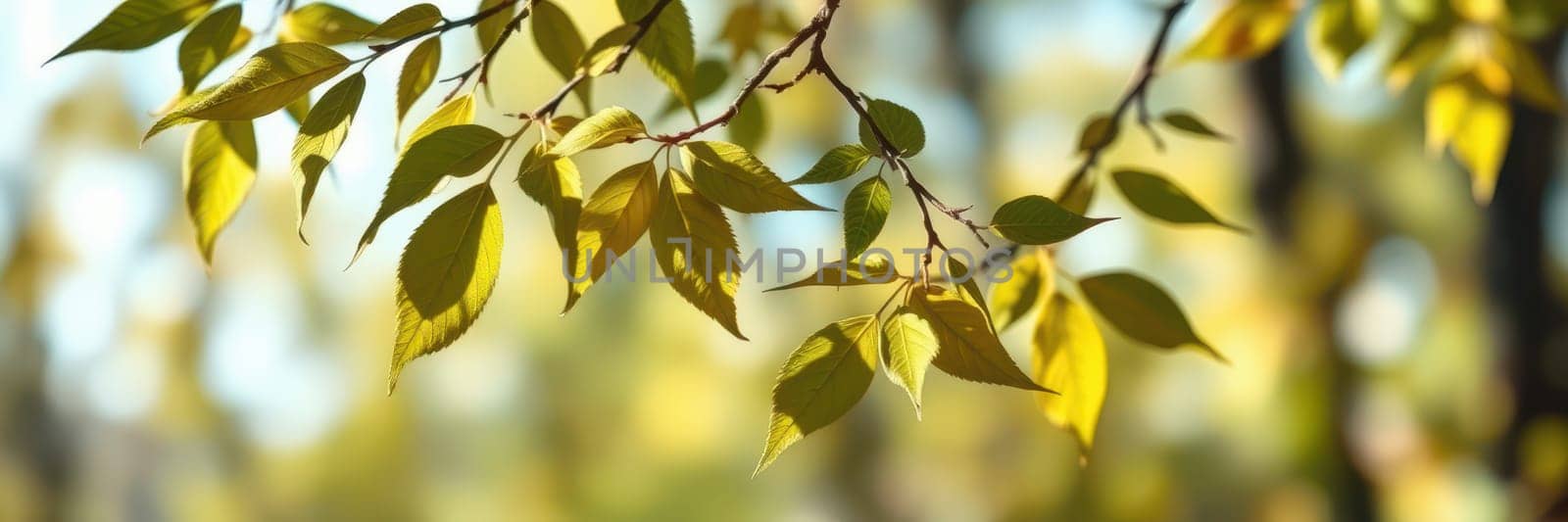 Soft sunlight filters through a canopy of trees, illuminating vibrant green leaves that sway in a gentle breeze, creating a serene atmosphere in a peaceful forest during the afternoon.