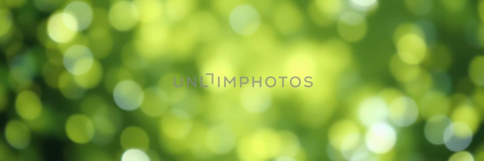 Rays of sunlight penetrate through a canopy of green leaves, producing a vivid bokeh effect. This scene captures the essence of a serene and vibrant forest atmosphere at midday.