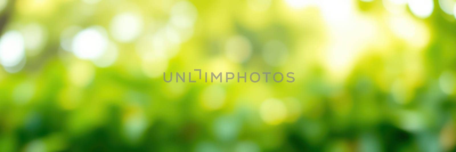 Lush green foliage softly blurs in the sunlight, creating a serene atmosphere in a vibrant outdoor environment during the spring season. The warm light enhances the natural beauty.