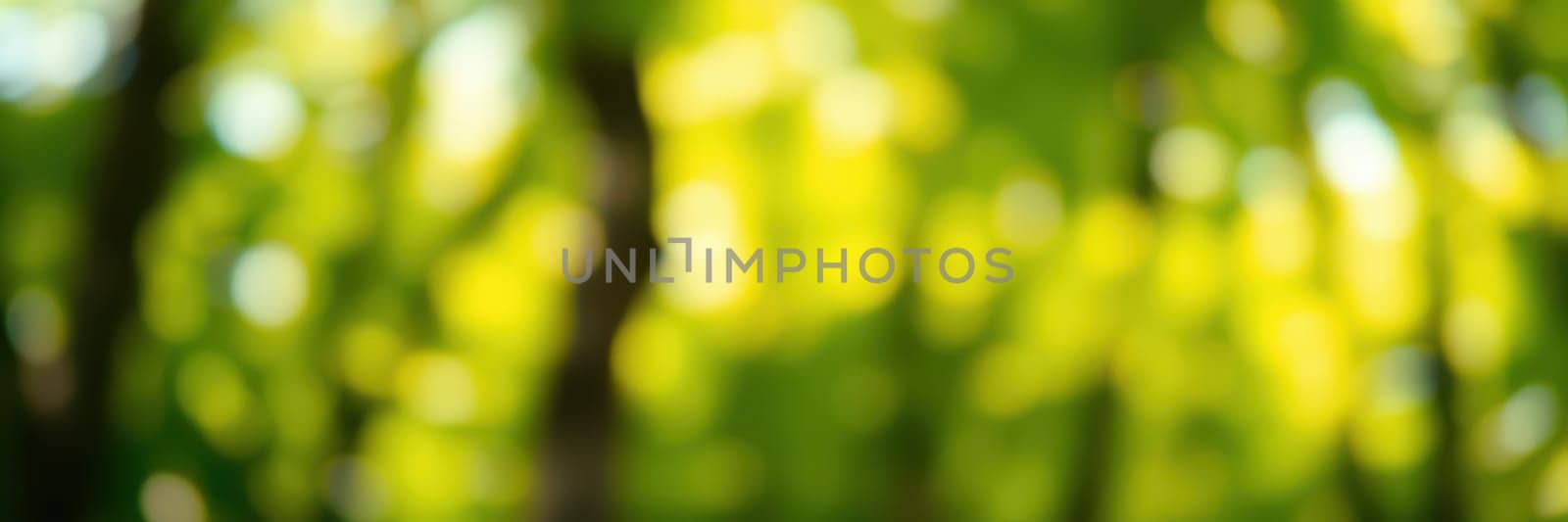 Lush greenery fills the background with a soft, blurred effect. Sunlight filters through the leaves, creating a serene and peaceful ambiance, perfect for relaxation.