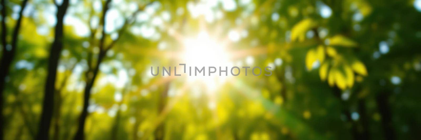 Bright sunlight streams through the dense canopy of leaves, creating a tranquil atmosphere in a vibrant forest. The warmth of a summer day enhances the beauty of the surroundings.