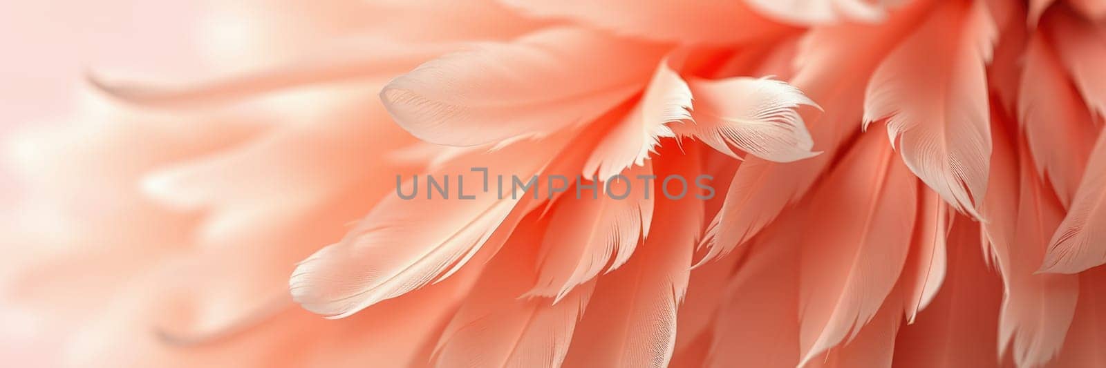 Delicate peach-colored flower petals exhibit intricate details and soft textures, illuminated by gentle natural light, creating a serene and calming atmosphere.