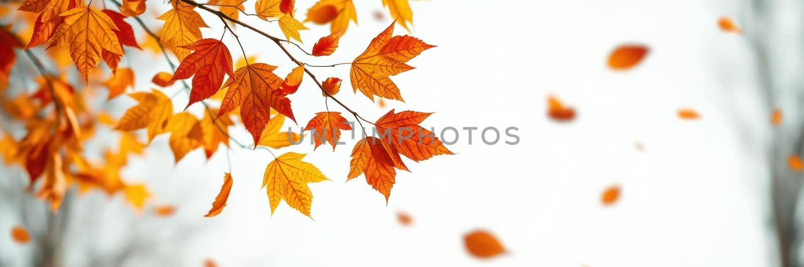 Vibrant orange leaves flutter down from branches, creating a picturesque scene in a tranquil environment. The air is crisp, capturing the essence of late autumn.