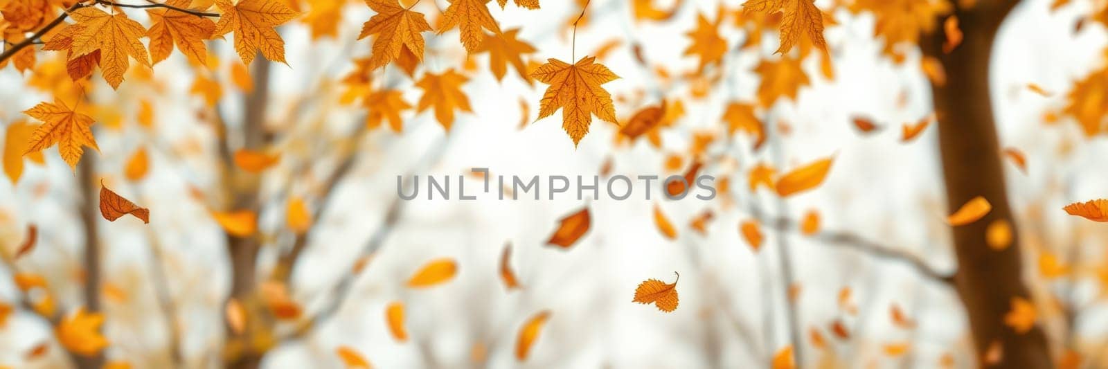Golden leaves drift down from trees in a peaceful park setting during autumn, covering the ground with vibrant hues while branches stand bare against a pale sky.
