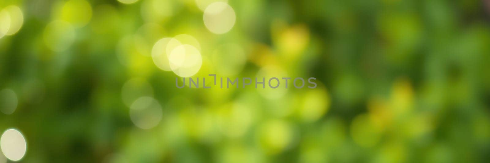Sunlight streams through vibrant green leaves, creating a soft bokeh effect that enhances the tranquil atmosphere of the natural environment. Gentle hues add warmth.