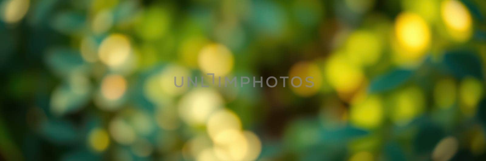 A vibrant display of blurred lights and lush greenery creates a peaceful atmosphere in a natural environment. Sunlight filters through the leaves, enhancing the colors.
