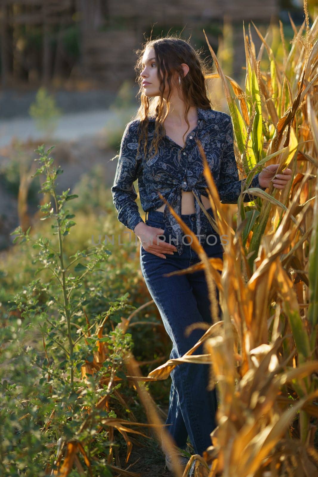 A young woman stands in a golden cornfield, elegantly posing while radiating a tranquil and serene countryside aura among the vibrant and lush greenery that surrounds her beautifully