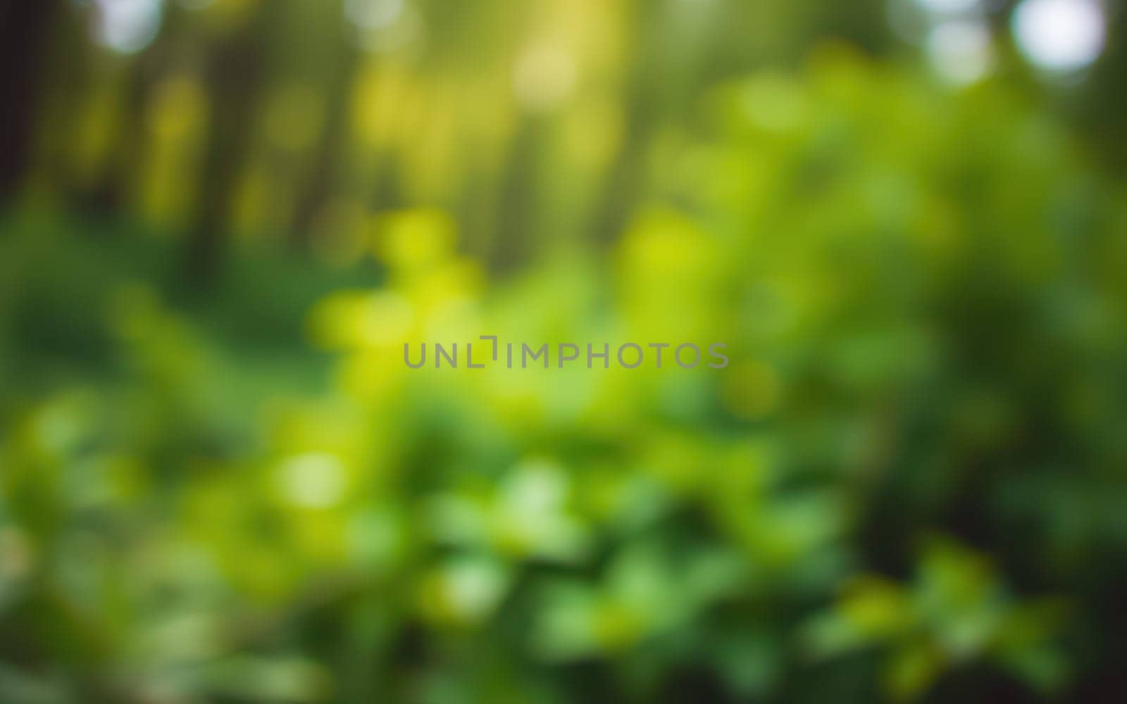 Sunlight filters gently through dense foliage, illuminating vibrant green leaves in a peaceful forest. The atmosphere feels serene and inviting, perfect for a nature walk.