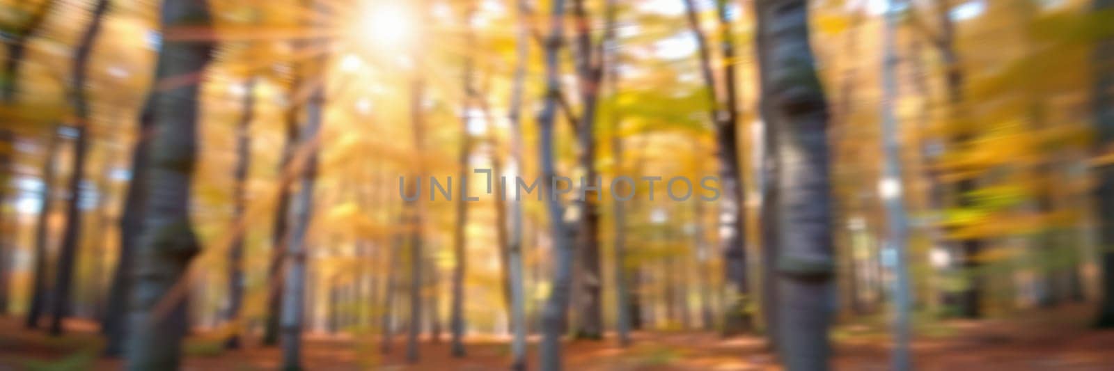 Sunlight streams through the branches of trees in an autumn forest, casting a warm golden hue across the carpet of fallen leaves. The atmosphere is calm and inviting.