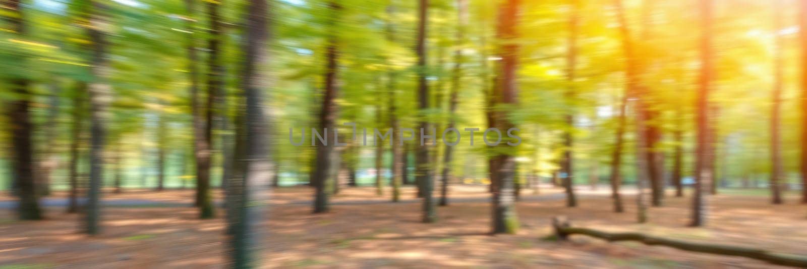 Sunlight filters through vibrant green leaves, casting warm rays onto the forest floor. Trees stand tall, their trunks blurred by a gentle movement, depicting a peaceful outdoor environment.