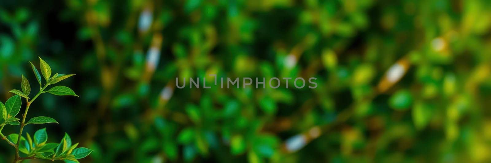 Fresh green leaves emerge in a flourishing garden, capturing the essence of nature's growth under the shining sun. The scene radiates tranquility and life.