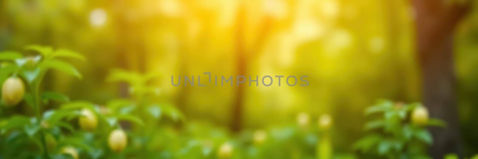 The vibrant foliage glows under warm sunlight filtering through the trees in a peaceful forest. Small buds dot the greenery, hinting at nature's awakening in the morning.