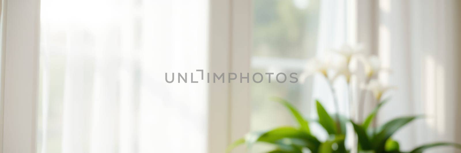 Sunlight streams softly through sheer curtains in a cozy indoor space, highlighting vibrant green plants placed near the window, creating a serene atmosphere.