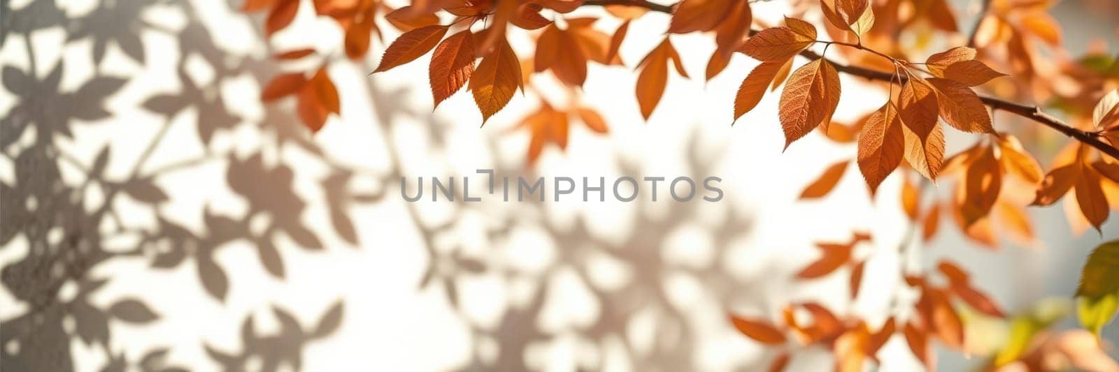 Warm autumn leaves delicately hang from a branch, their vibrant colors creating soft shadows on a bright surface. Sunlight enhances the tranquil atmosphere of the scene.