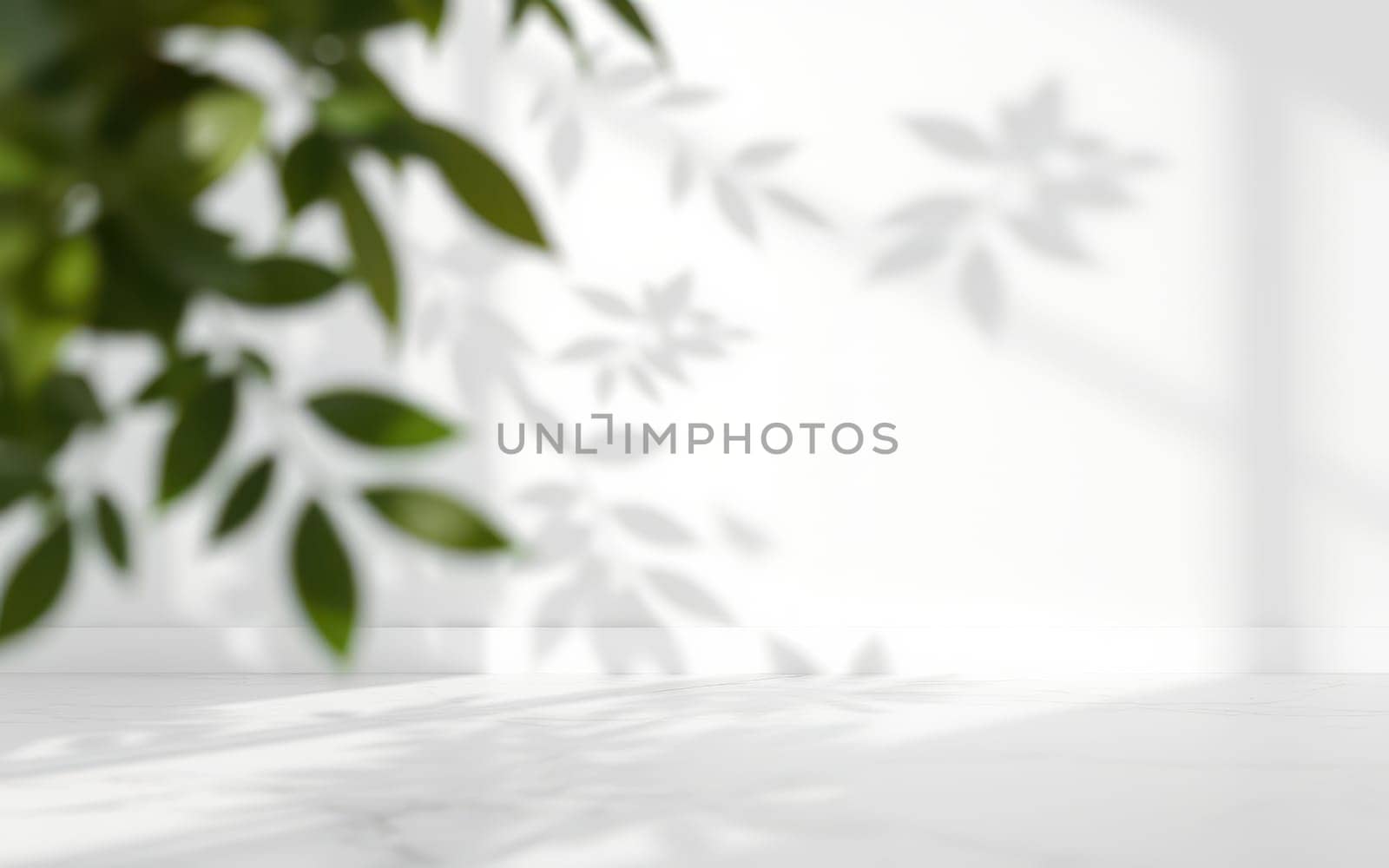 Sunlight streams through leaves, casting intricate shadows on a pristine white wall. The calm atmosphere enhances the serene mood of the afternoon setting.
