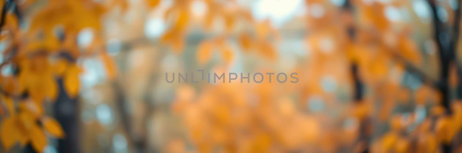 Bright orange and yellow leaves fill the trees in a tranquil park during autumn. Soft sunlight adds warmth to the scenery, enhancing the peaceful vibe of the surroundings.