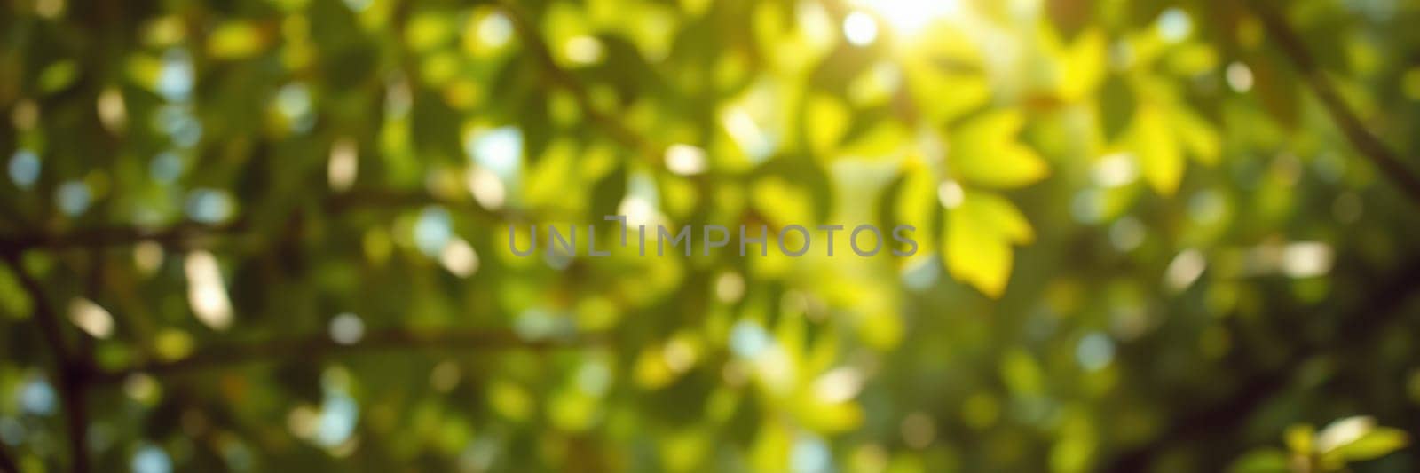 Sunlight streams through a canopy of vibrant green leaves, casting a warm glow in a serene forest during the afternoon. Nature is alive with color and light.