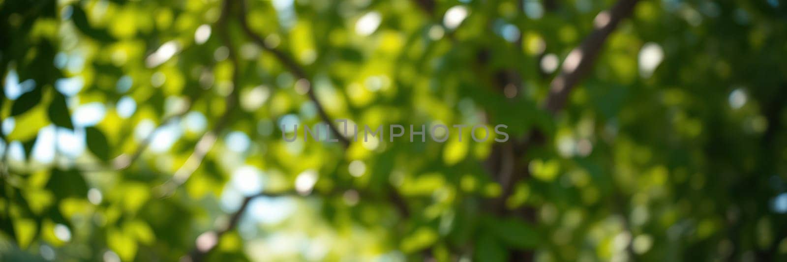 Lush green leaves create a vibrant canopy, shimmering as sunlight filters through. The serene atmosphere offers a perfect escape into nature's tranquility.